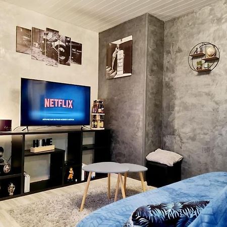 Appartement Proche Du Centre Ville Et Du Lac 热拉梅 外观 照片
