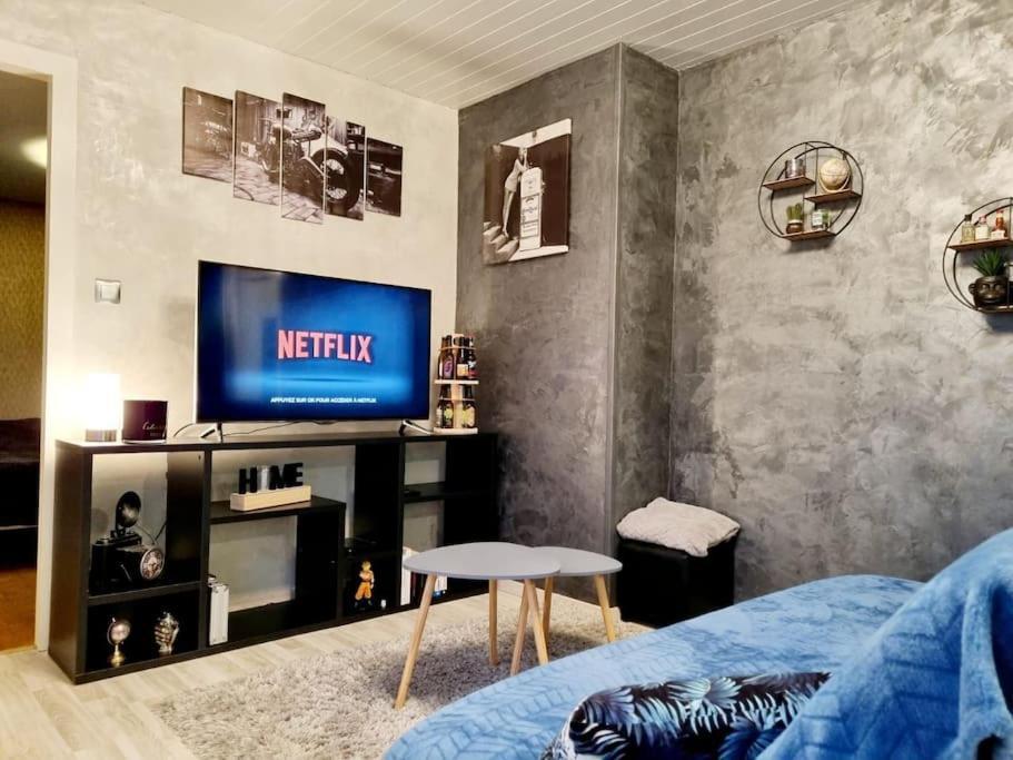 Appartement Proche Du Centre Ville Et Du Lac 热拉梅 外观 照片