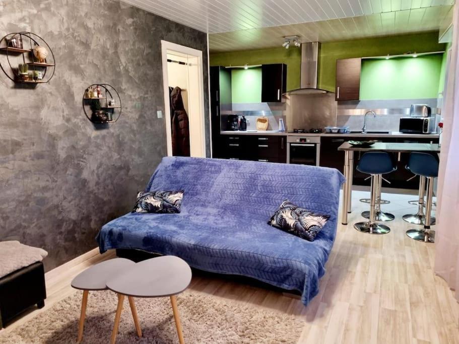 Appartement Proche Du Centre Ville Et Du Lac 热拉梅 外观 照片