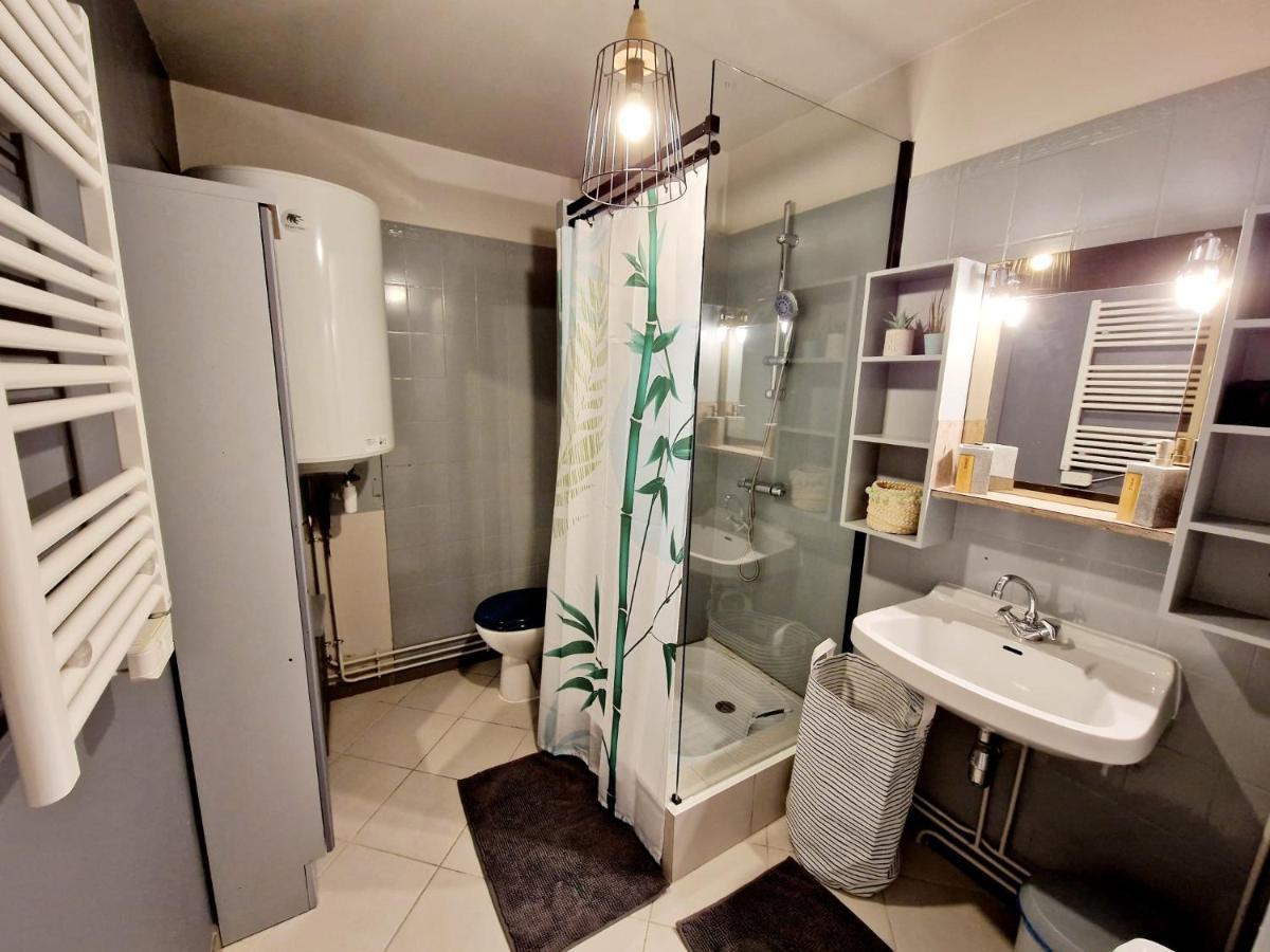Appartement Proche Du Centre Ville Et Du Lac 热拉梅 外观 照片
